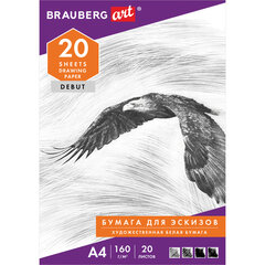 Папка для рисования А4, 20 л., 160 г/<wbr/>м<sup>2</sup>, BRAUBERG, 210&times;297 мм, &laquo;Орел&raquo;, 125230