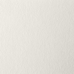 Бумага для пастели БОЛЬШАЯ А3, 20 л., слоновая кость ГОЗНАК 200 г/<wbr/>м<sup>2</sup>, тиснение Скорлупа, BRAUBERG ART, 126304