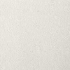 Бумага для пастели А4, 20 л., бумага слоновая кость ГОЗНАК 200 г/<wbr/>м<sup>2</sup>, тиснение Холст, BRAUBERG ART, 126307