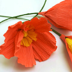 Бумага гофрированная/<wbr/>креповая, 32 г/<wbr/>м<sup>2</sup>, 50&times;250 см, оранжевая, в рулоне, BRAUBERG, 126530