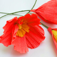 Бумага гофрированная/<wbr/>креповая, 32 г/<wbr/>м<sup>2</sup>, 50&times;250 см, красная, в рулоне, BRAUBERG, 126531