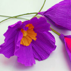 Бумага гофрированная/<wbr/>креповая, 32 г/<wbr/>м<sup>2</sup>, 50&times;250 см, фиолетовая, в рулоне, BRAUBERG, 126533