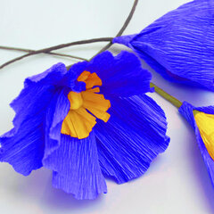 Бумага гофрированная/<wbr/>креповая, 32 г/<wbr/>м<sup>2</sup>, 50&times;250 см, синяя, в рулоне, BRAUBERG, 126535