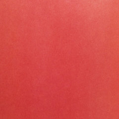 Цветная бумага А4 газетная, 24 листа, 24 цвета, на скобе, ПИФАГОР, 200&times;283 мм, &laquo;Умный котик&raquo;, 128002