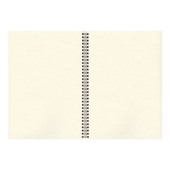 Скетчбук, слоновая кость 150 г/<wbr/>м<sup>2</sup>, 297&times;420 мм, 30 л., гребень, BRAUBERG ART CLASSIC, 128946