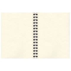 Скетчбук, слоновая кость 150 г/<wbr/>м<sup>2</sup>, 148&times;210 мм, 30 л., гребень, BRAUBERG ART CLASSIC, 128948