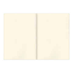 Скетчбук, слоновая кость 150 г/<wbr/>м<sup>2</sup>, 148&times;210 мм, 32 л., склейка, BRAUBERG ART CLASSIC, 128956