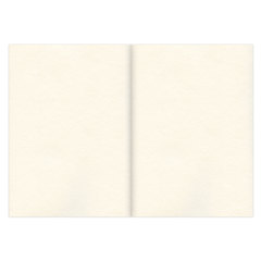 Скетчбук, слоновая кость 100 г/<wbr/>м<sup>2</sup>, 210&times;297 мм, 120 л., прошивка, BRAUBERG ART CLASSIC, 128960