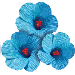 Бумага гофрированная/<wbr/>креповая, 110 г/<wbr/>м<sup>2</sup>, 50&times;250 см, голубая, ОСТРОВ СОКРОВИЩ, 129147