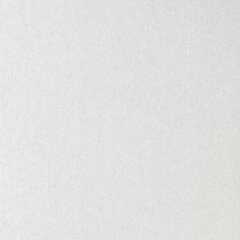 Картон белый БОЛЬШОГО ФОРМАТА, А3, МЕЛОВАННЫЙ (глянцевый), 8 листов, BRAUBERG, 297&times;420 мм, &laquo;Зимняя сказка&raquo;, 129901