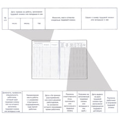 Книга учета движения трудовых книжек и вкладышей к ним, 48 л., картон, блок офсет, А4 210&times;290 мм, 52277