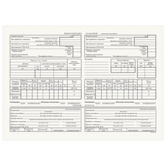 Бланк бухгалтерский типографский &laquo;Путевой лист грузового автомобиля с талоном&raquo;, А4 (198&times;275 мм), СПАЙКА 100 шт., 130137