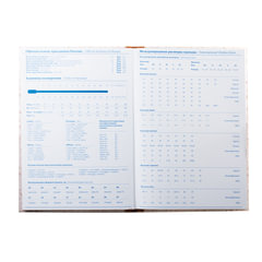 Книга учета 96 л., клетка, твердая, типографский блок, нумерация, А4 200&times;290 мм, ОФИСМАГ, 130176