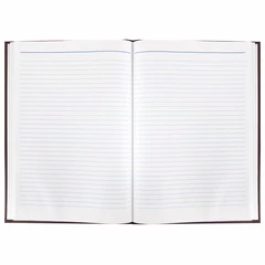 Книга учета 96 л., линия, твердая, бумвинил, блок офсет, А4 200&times;290 мм, ОФИСМАГ, 130178