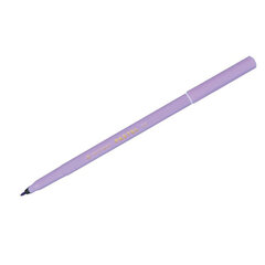 Фломастеры ПАСТЕЛЬНЫЕ 10 ЦВЕТОВ CENTROPEN "Colour World Pastel", смываемые, 7550/10TP