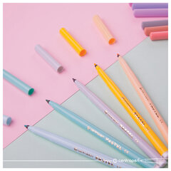 Фломастеры ПАСТЕЛЬНЫЕ 12 ЦВЕТОВ CENTROPEN "Colour World Pastel", смываемые, 7550/12TP
