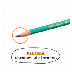 Карандаш чернографитный BIC, 1 шт., &laquo;Evolution&raquo;, HB, с ластиком, корпус зеленый, 8803323