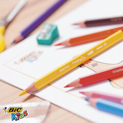 Карандаши цветные утолщенные BIC &laquo;Kids Evolution Triangle&raquo;, 12 цветов, трехгранные, грифель 4 мм, 8297356