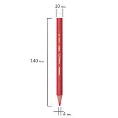 Карандаши цветные утолщенные BIC &laquo;Kids Evolution Triangle&raquo;, 12 цветов, трехгранные, грифель 4 мм, 8297356