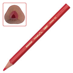 Карандаши цветные утолщенные BIC &laquo;Kids Evolution Triangle&raquo;, 12 цветов, трехгранные, грифель 4 мм, 8297356
