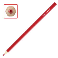 Карандаши цветные BRAUBERG &laquo;My lovely dogs&raquo;, 12 цветов, шестигранные, грифель 3 мм, натуральное дерево, 180531