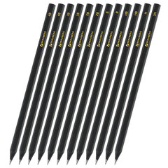 Карандаши чернографитные BRAUBERG НАБОР 12 шт., &laquo;Black Jack&raquo;, 2Н-4В, без резинки, черные, дерево, заточенные, 180620