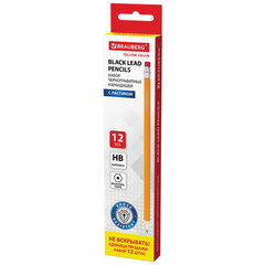 Карандаши чернографитные простые с ластиком HB, ВЫГОДНАЯ УПАКОВКА КОМПЛЕКТ 12 штук, BRAUBERG, 180635