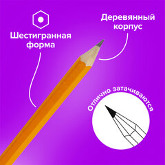 Карандаши чернографитные простые с ластиком HB, ВЫГОДНАЯ УПАКОВКА КОМПЛЕКТ 12 штук, BRAUBERG, 180635