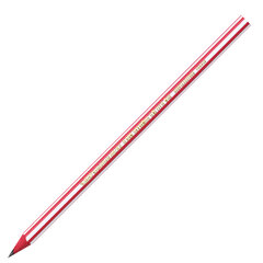 Карандаш чернографитный BIC, 1 шт., &laquo;Evolution Stripes&raquo;, HB, корпус ассорти, 918487