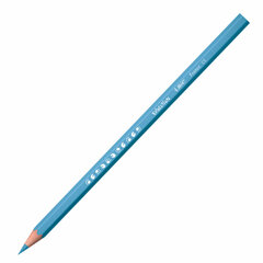 Карандаши цветные BIC &laquo;Kids ECOlutions Evolution&raquo;, 18 цветов, пластиковые, заточенные, европодвес, 937513