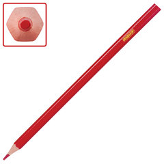 Карандаши цветные ПИФАГОР &laquo;ЛЕСНЫЕ ЖИТЕЛИ&raquo;, 6 цветов, шестигранные, 181333