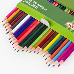 Карандаши цветные ПИФАГОР &laquo;ЛЕСНЫЕ ЖИТЕЛИ&raquo;, 24 цвета, шестигранные, 181336