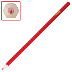 Карандаши цветные ПИФАГОР &laquo;ЭНИКИ-БЕНИКИ&raquo;, 6 цветов, шестигранные, натуральное дерево, 181345