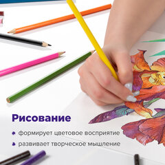 Карандаши цветные акварельные BRAUBERG "АКАДЕМИЯ", 24 цвета, шестигранные, грифель 3 мм, натуральное дерево, 181400