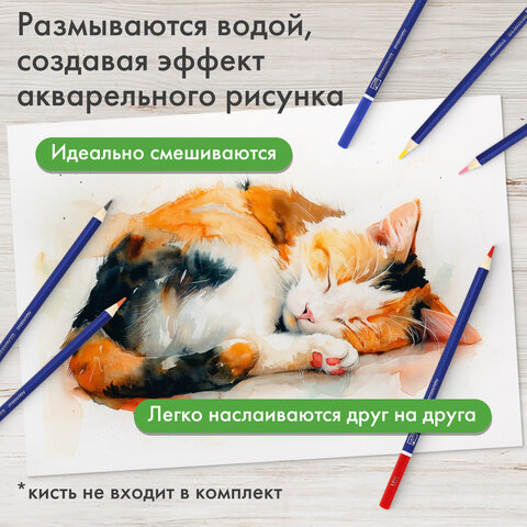 Карандаши художественные цветные акварельные BRAUBERG ART CLASSIC, 12 цветов, грифель 3,3 мм, 181529