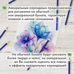 Карандаши художественные цветные акварельные BRAUBERG ART CLASSIC, 48 цветов, грифель 3,3 мм, 181532