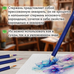 Карандаши художественные цветные акварельные BRAUBERG ART CLASSIC, 48 цветов, грифель 3,3 мм, 181532
