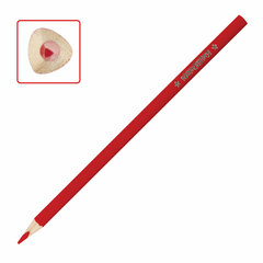 Карандаши цветные ЮНЛАНДИЯ &laquo;ТРОПИКИ&raquo;, 12 цветов, с РАСКРАСКОЙ, трехгранные, грифель 3 мм, натуральное дерево, 181647