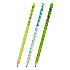 Карандаш чернографитный BRAUBERG &laquo;GREEN&raquo;, 1 шт., HB, пластиковый, корпус ассорти, 181745