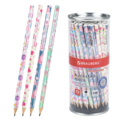 Карандаш чернографитный BRAUBERG &laquo;PRIMAVERA&raquo;, 1 шт., HB, корпус ассорти, 181765