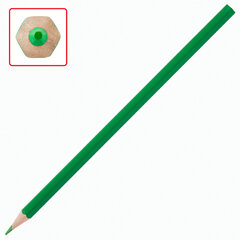 Карандаши цветные ПИФАГОР &laquo;Веселая такса&raquo;, 12 цветов, шестигранные, натуральное дерево, 181806