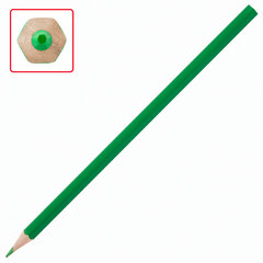 Карандаши цветные ПИФАГОР &laquo;Веселая такса&raquo;, 24 цвета, шестигранные, натуральное дерево, 181808