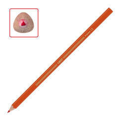 Карандаши цветные BIC &laquo;Intensity&raquo;, 12 цветов, трехгранные, 9505272