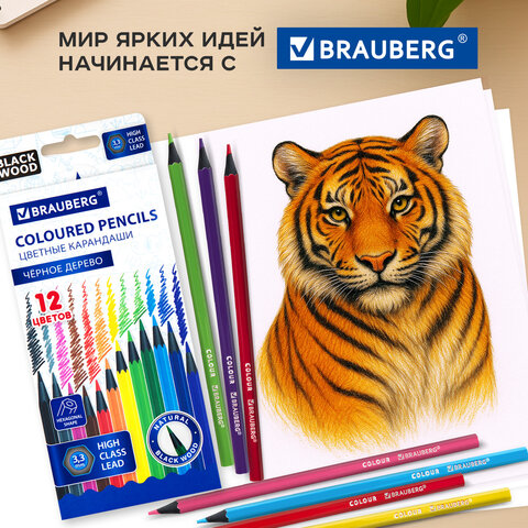Карандаши цветные BRAUBERG, 12 цветов, черное дерево, грифель мягкий 3,3 мм, 181856