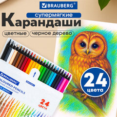 Карандаши цветные BRAUBERG, 24 цвета, шестигранные, грифель 3,3 мм, черное дерево, 181858