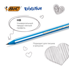 Карандаши чернографитные BIC Evolution &laquo;Stripes&raquo;, НАБОР 4 шт., HB, пластиковые, блистер, 918485