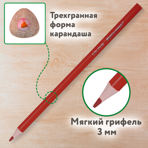 Карандаши цветные BRAUBERG KIDS NEW, 12 цветов, трехгранные, 182001