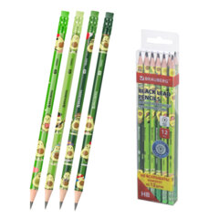 Набор карандашей чернографитных с принтом BRAUBERG &laquo;AVOCADO&raquo;, 12 штук, HB, с ластиком, корпус ассорти, 182032