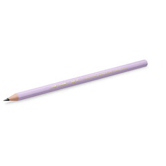 Карандаш чернографитный BIC, 1 шт., &laquo;Evolution Pastel&raquo;, HB, без ластика, корпус ассорти, 518307