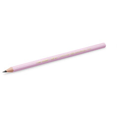 Карандаш чернографитный BIC, 1 шт., &laquo;Evolution Pastel&raquo;, HB, без ластика, корпус ассорти, 518307